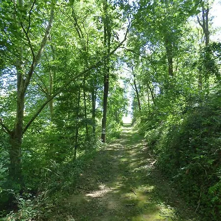 Domaine Anguyales Montmaur (Aude)