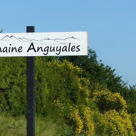 Сasa de vacaciones Domaine Anguyales
